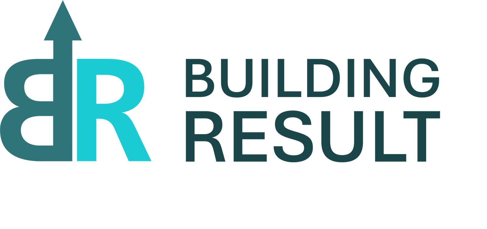 Logo Building Result