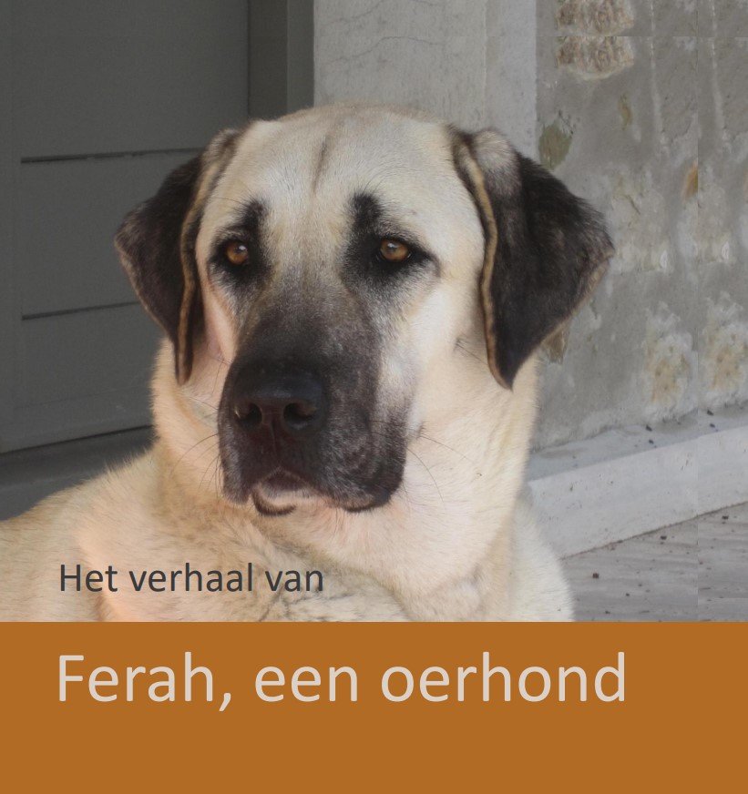 Ferah, een oerhond