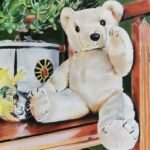 Teddybeer - olie - 24x30