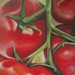 Tomaten - olie - 50x50