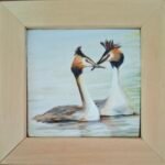 Futen - olie - 6x6